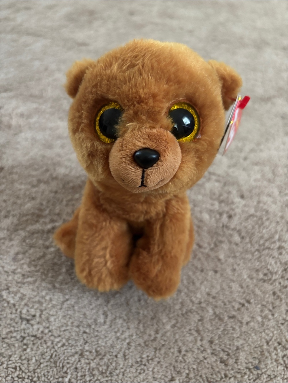 Ty〰️Cuddly Brown Plush Bear with Shiny Gold-Edged Eyes